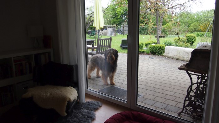 Wäller von der Straubenhalde