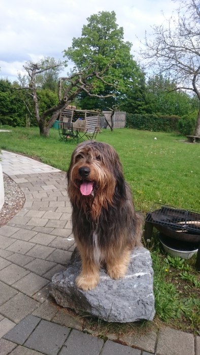 Wäller von der Straubenhalde