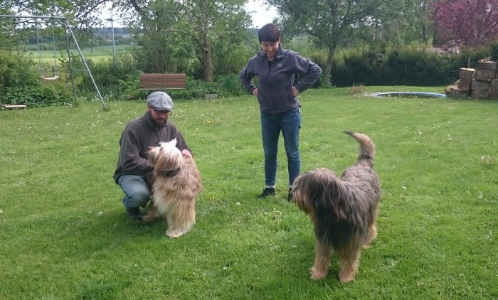 Wäller von der Straubenhalde