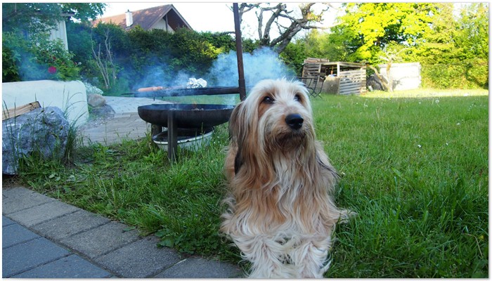 B-Wurf-von-der-Straubenhalde-037