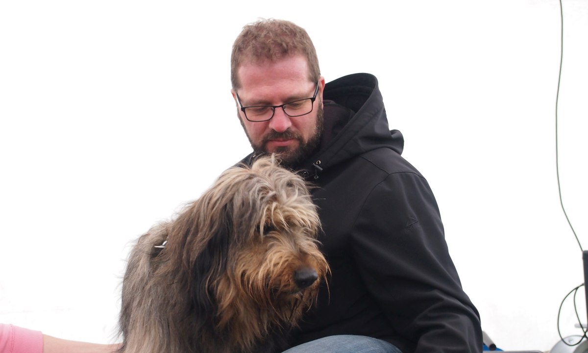 Aladin vom Fellnasencamp - Wäller von der Straubenhalde