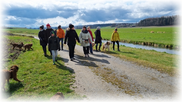 C-Wurf-von-der-Straubenhalde