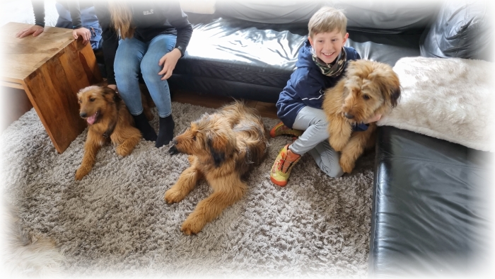 C-Wurf-von-der-Straubenhalde