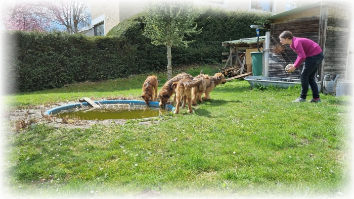 C-Wurf-von-der-Straubenhalde