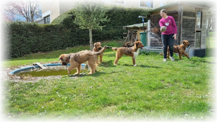 C-Wurf-von-der-Straubenhalde