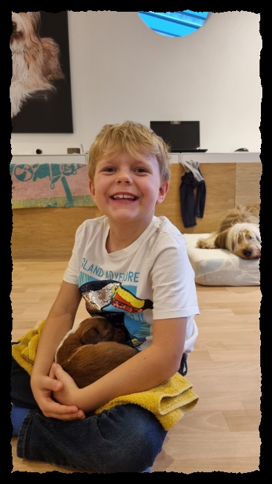 C-Wurf-von-der-Straubenhalde