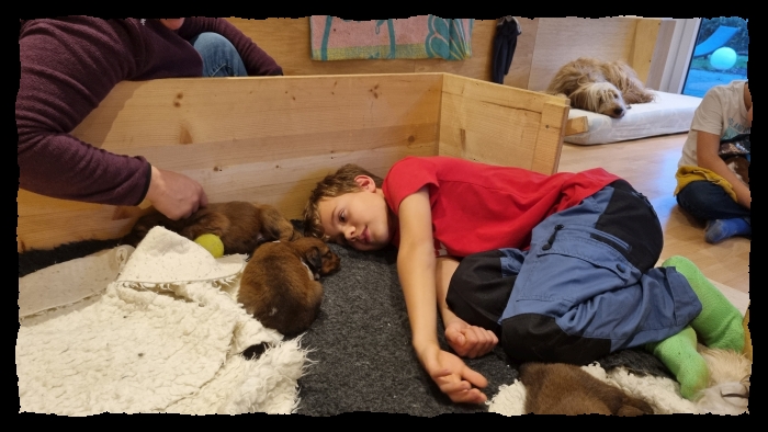 C-Wurf-von-der-Straubenhalde