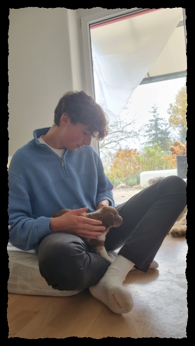 C-Wurf-von-der-Straubenhalde