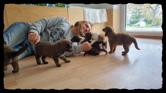 C-Wurf-von-der-Straubenhalde