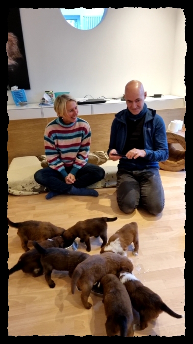 C-Wurf-von-der-Straubenhalde