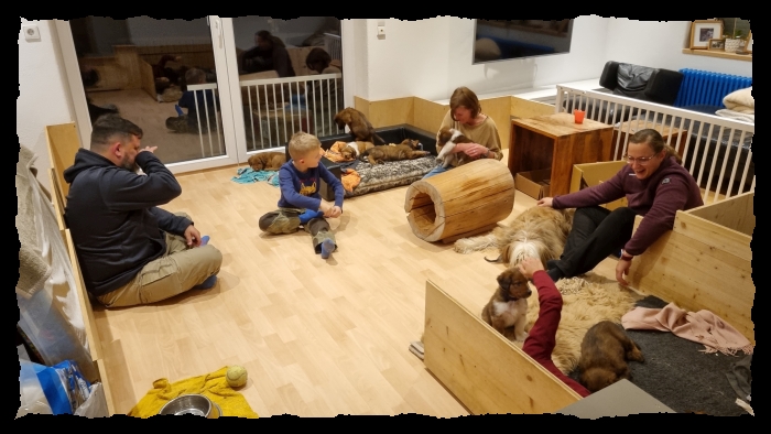 C-Wurf-von-der-Straubenhalde