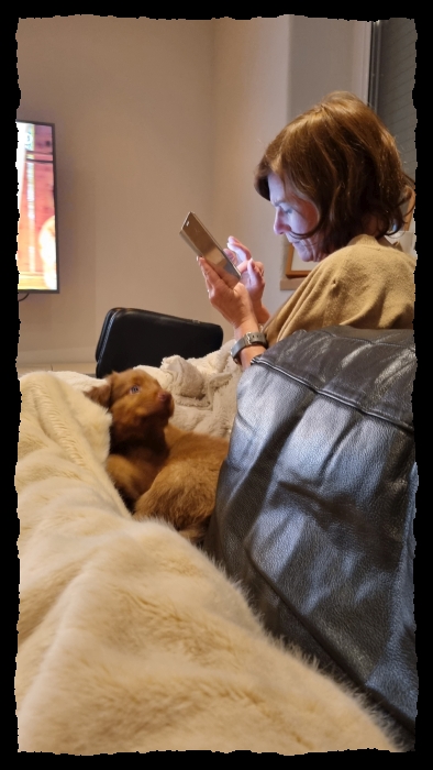 C-Wurf-von-der-Straubenhalde