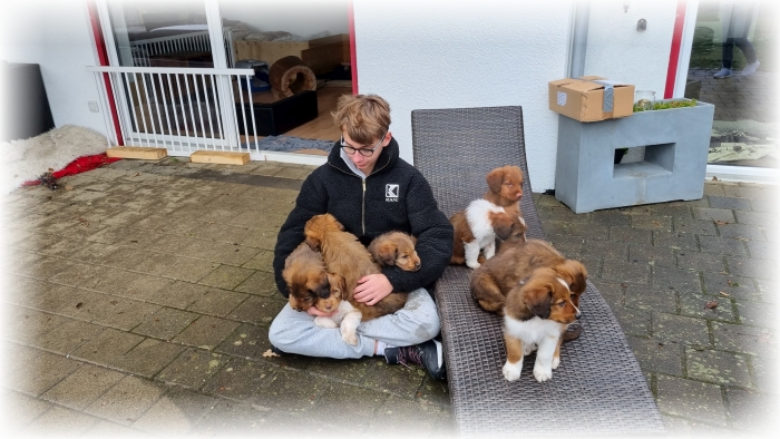 C-Wurf-von-der-Straubenhalde