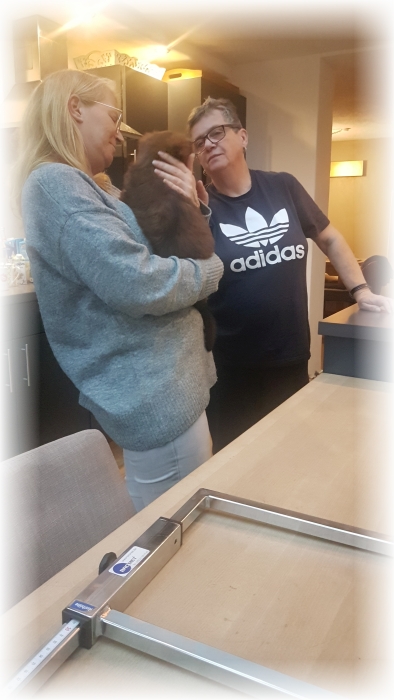 C-Wurf-von-der-Straubenhalde