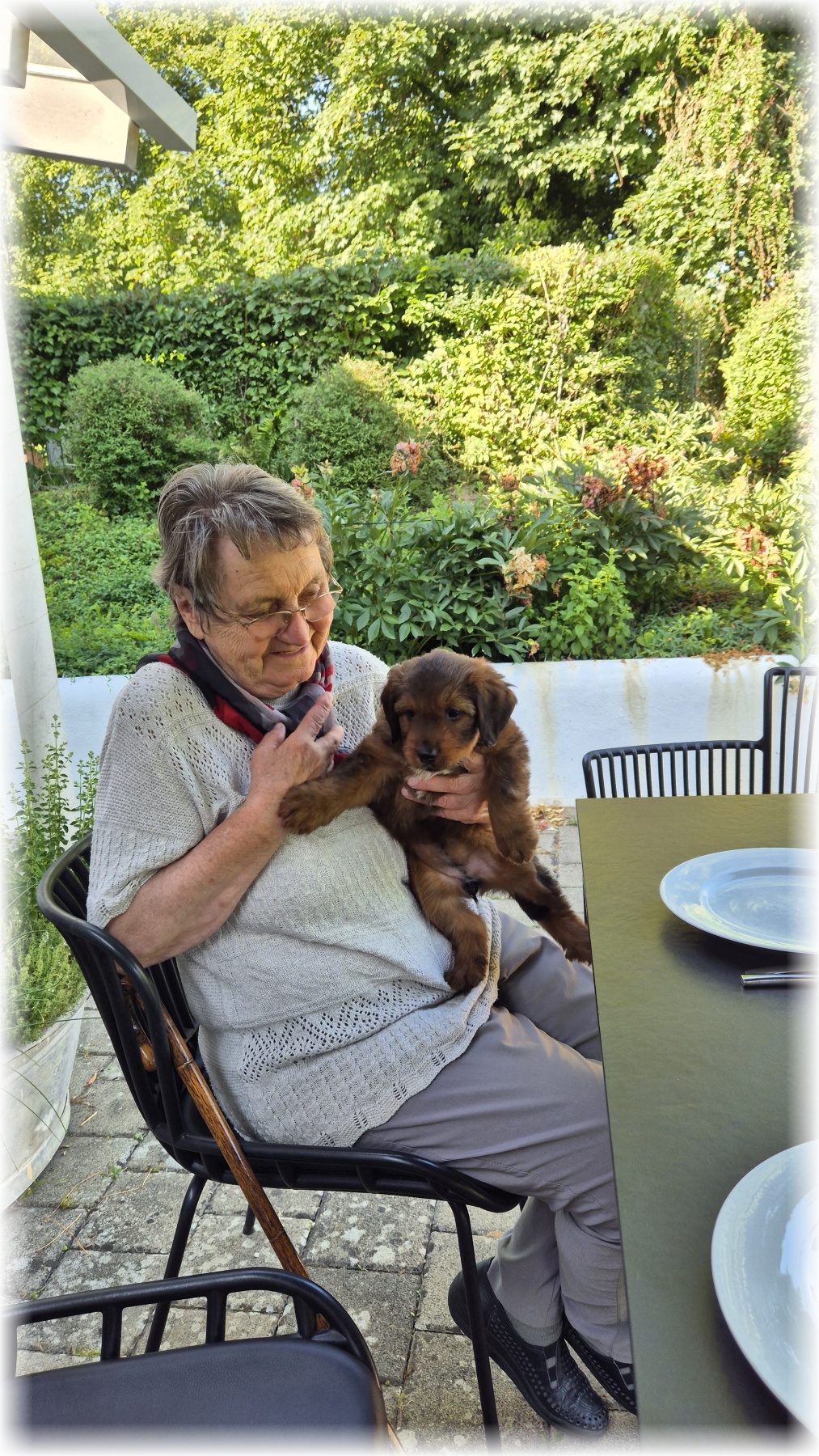 D-Wurf-von-der-Straubenhalde-2025