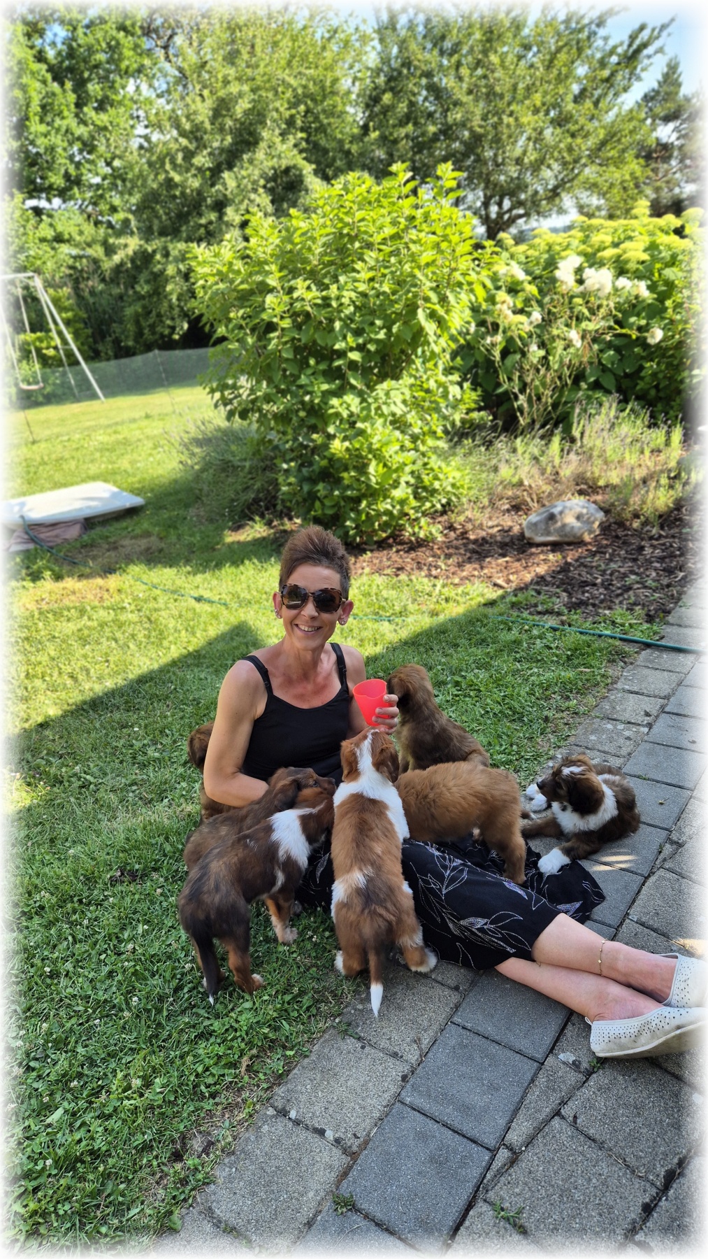 D-Wurf-von-der-Straubenhalde-2025