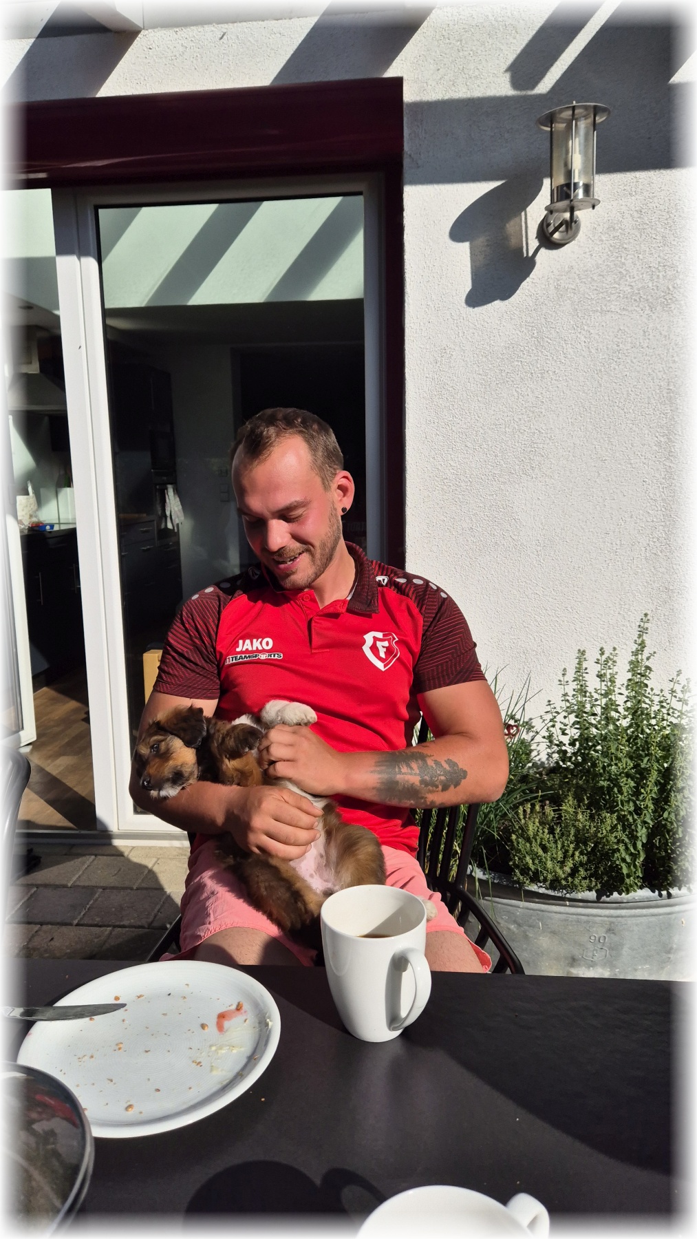 D-Wurf-von-der-Straubenhalde-2025