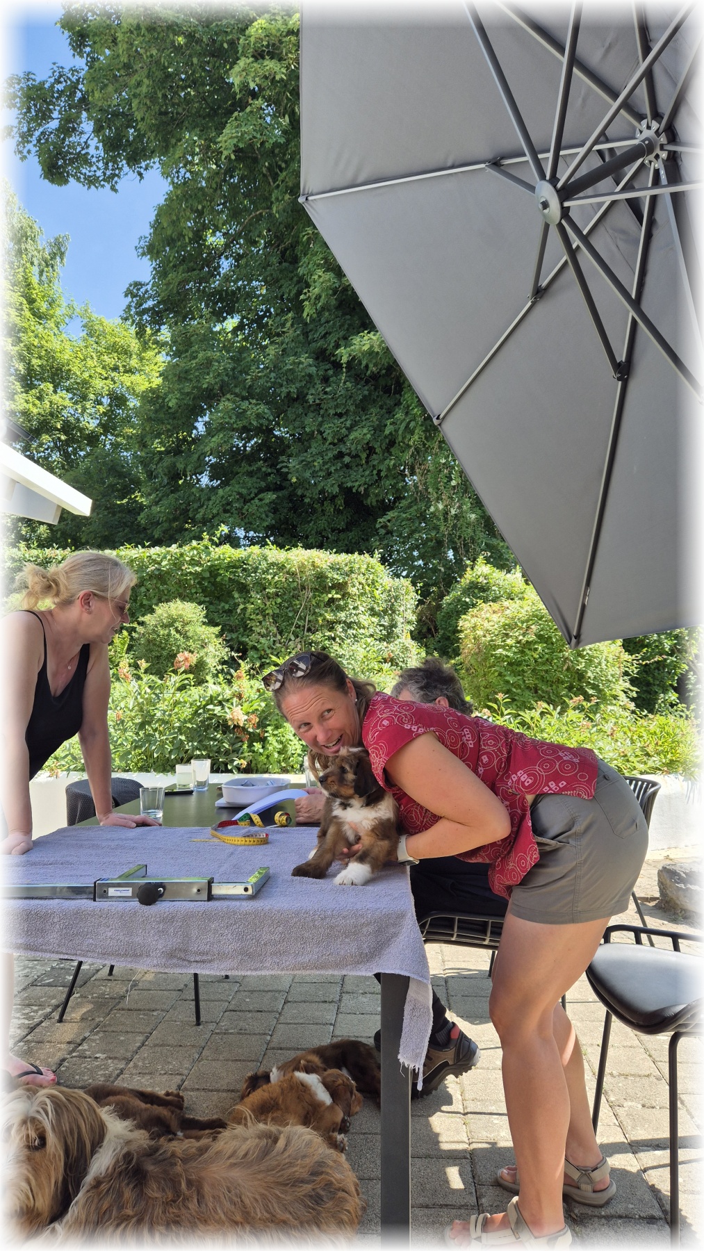 D-Wurf-von-der-Straubenhalde-2025