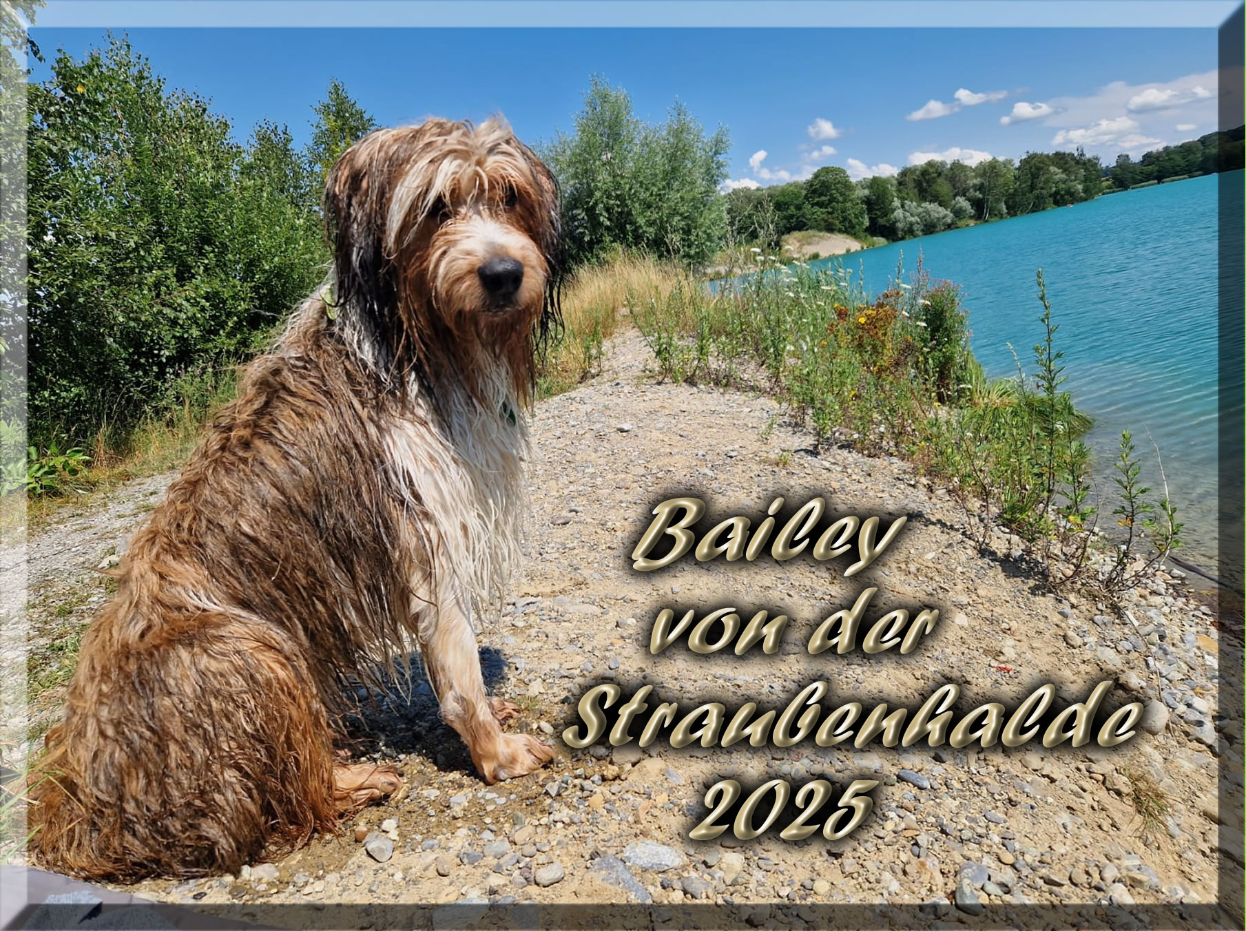 Bailey-von-der-Straubenhalde
