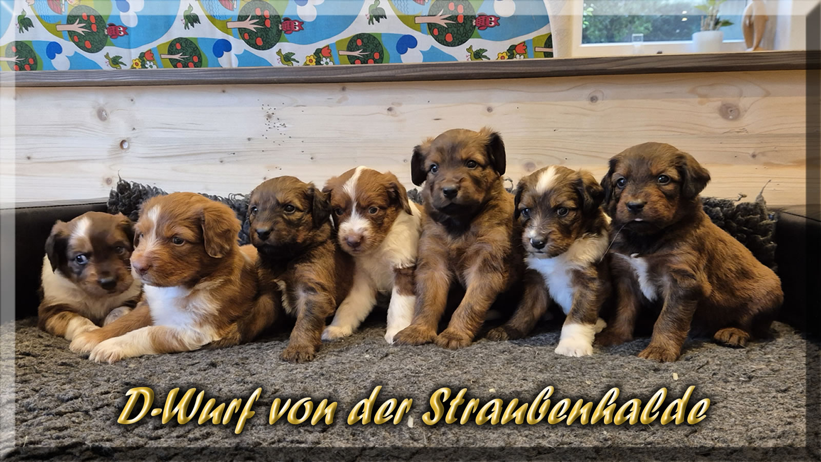 Wäller von der Straubenhalde