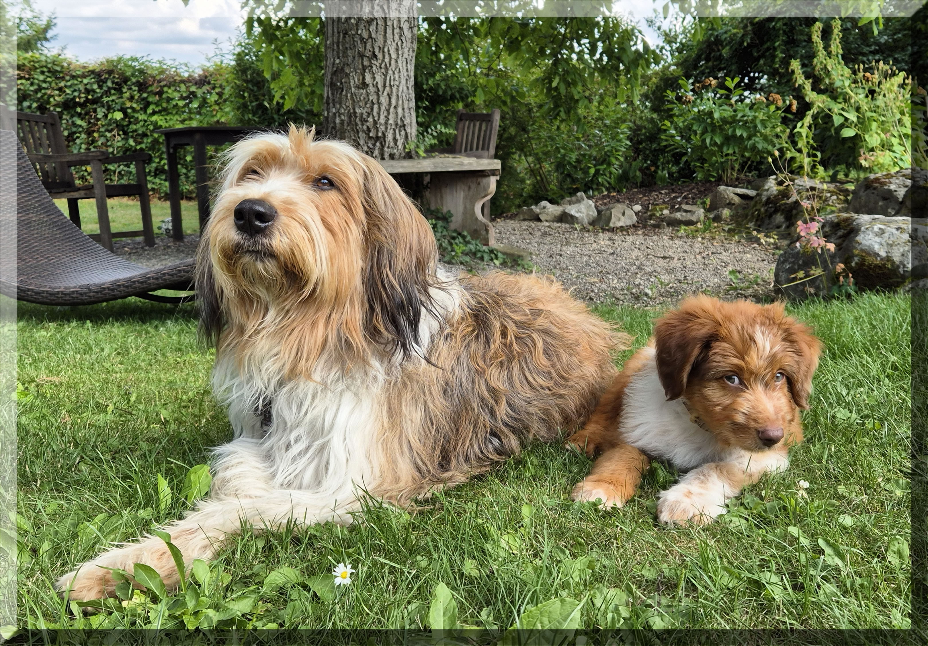 Dilara Josy von der Straubenhalde