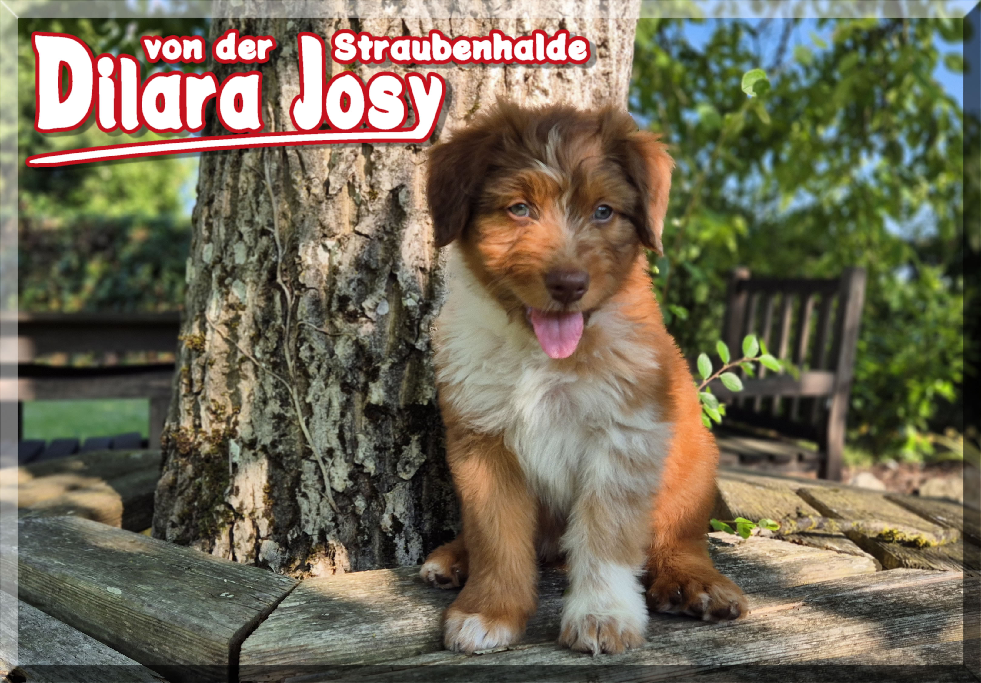 Dilara Josy von der Straubenhalde