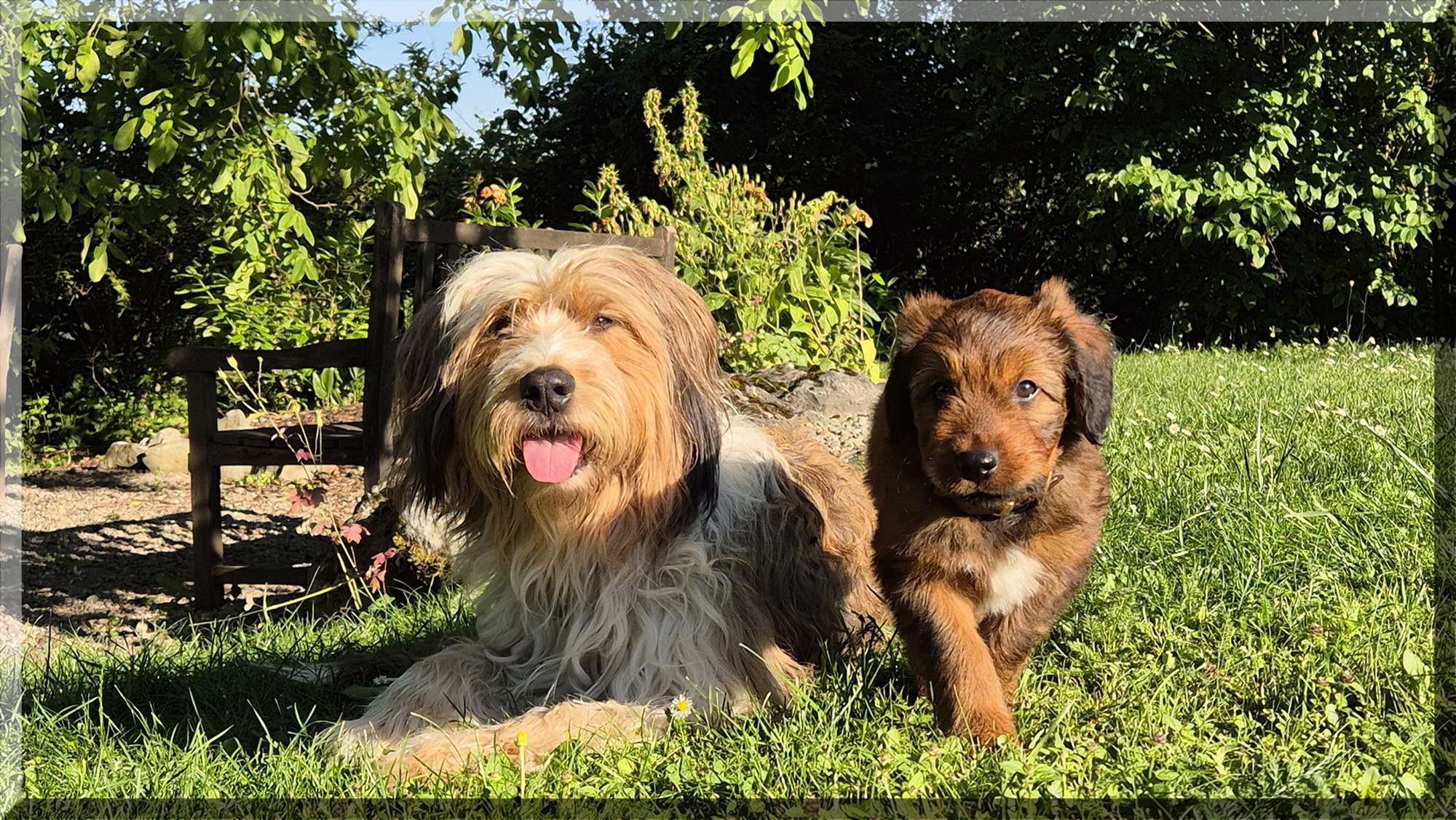 Duplo Ruby von der Straubenhalde