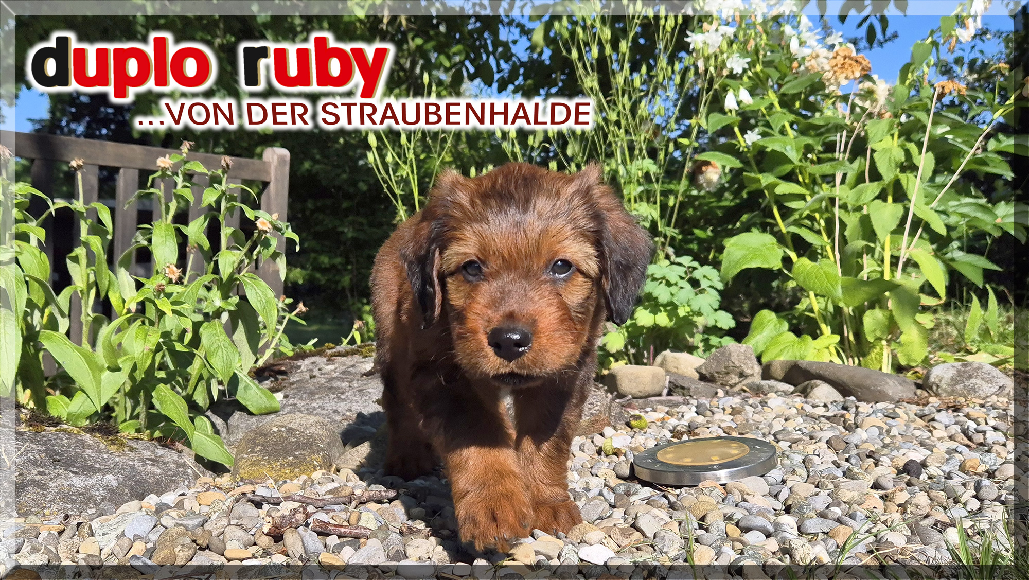 Duplo Ruby von der Straubenhalde